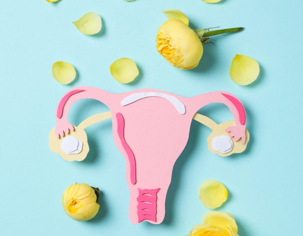 women s health and women s healthcare concept with 2023 11 27 05 17 03 utc2 2048x1596 1