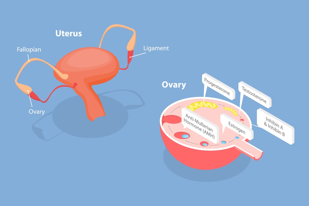 shutterstock 2264145279